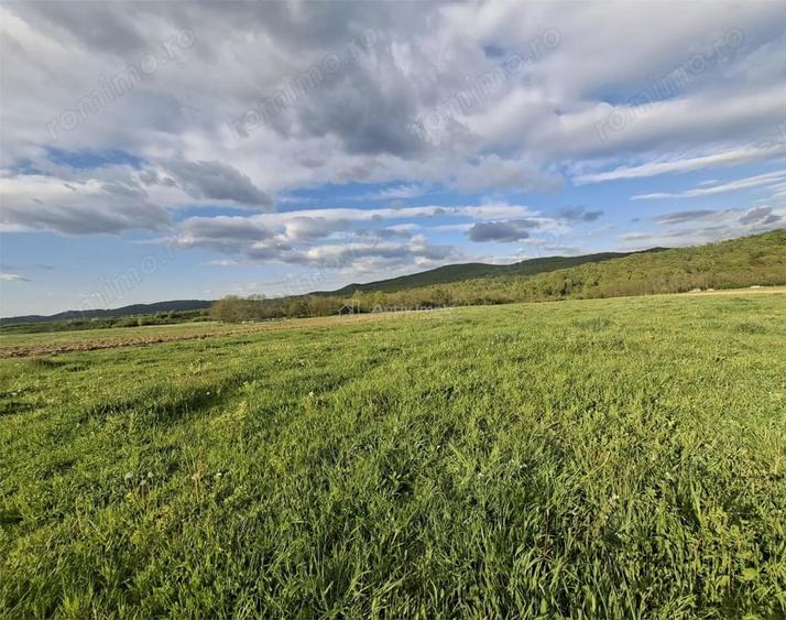 Teren de 923 mp, în Periferie