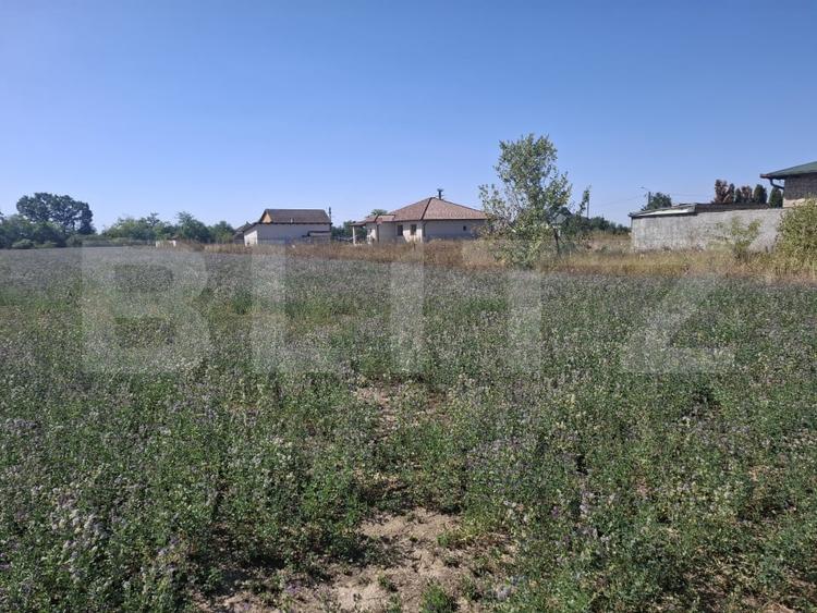 Teren Construcții intravilan de 3746 mp, în Mădăras