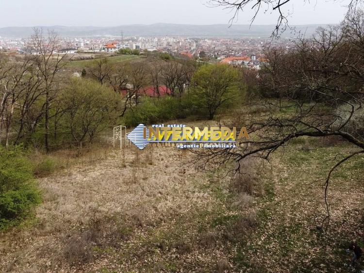 Teren Construcții intravilan de 10046 mp, în Cetate