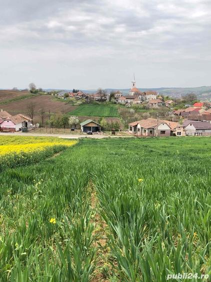 Casă cu 3 camere în Târnăveni