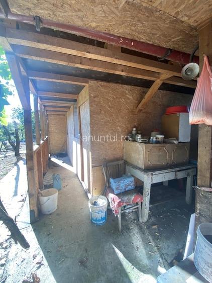 Casă cu 3 camere cu Teren 1600 Mp în Central