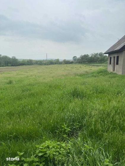 Vand teren intravilan in Borsa, jud. Cluj 2.600 mp, zona centrala - 1
