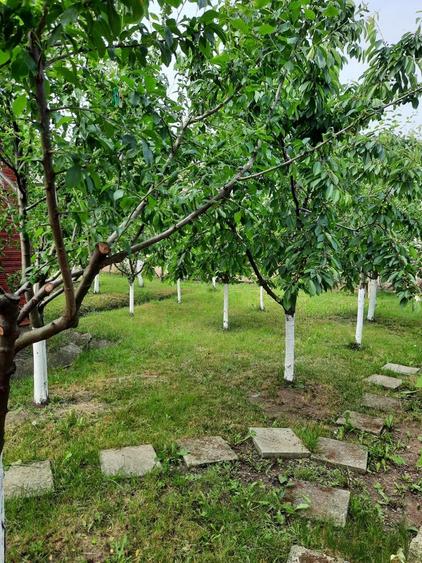 Casă individuală cu 2 camere cu Garaj în Bogata