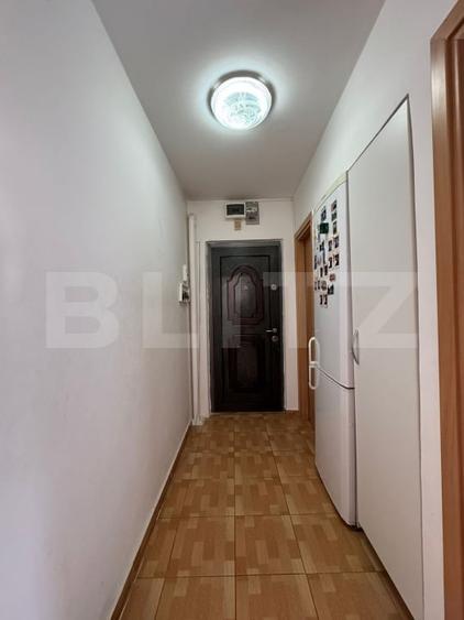 Apartament de 2 camere, 40 mp, zona Sagului - 10