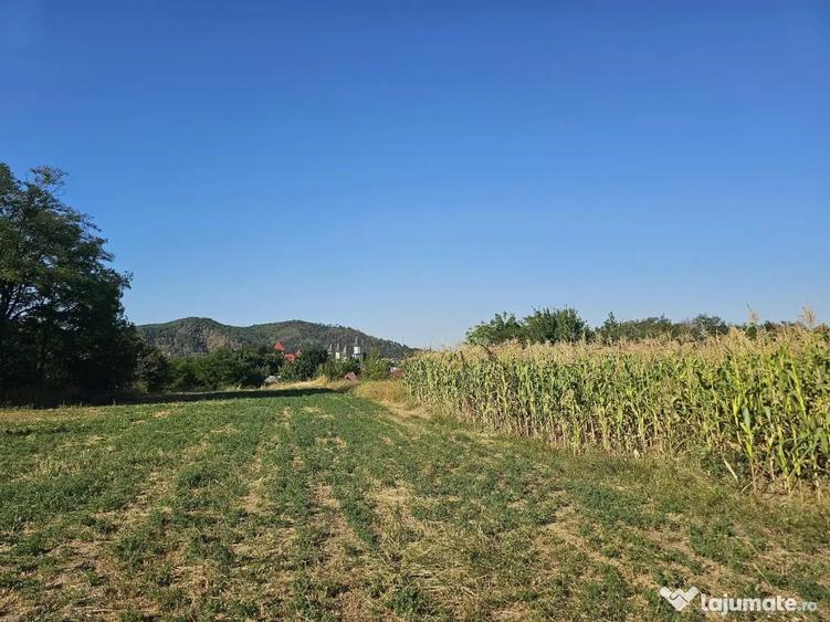 Teren de 4300 mp, în Humulești