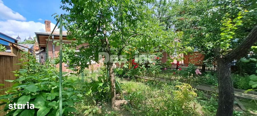 IASI, Zona Centrala - Proprietate cu potential COMERCIAL si INVESTITIO - 5