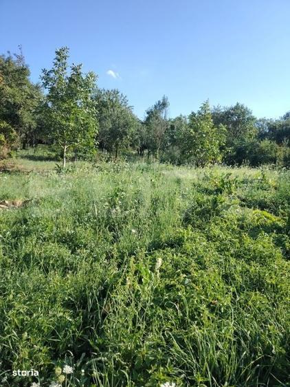 Casă cu 2 camere cu Teren 2111 Mp în Mihai Viteazu