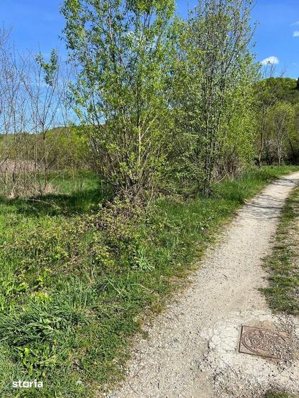 Teren Valea Moasei, Sebesul de Sus, cu utilitati apa, canal, curent - 1