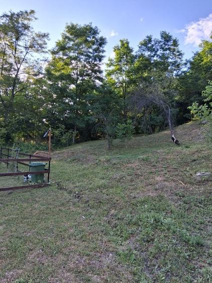 Teren in RATE la MUNTE, Slanic Prahova, utilitati - 5