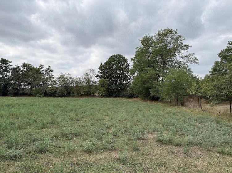 Casă cu Teren 3001 Mp în Bethausen