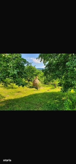Teren de 1836 mp, în Șotrile