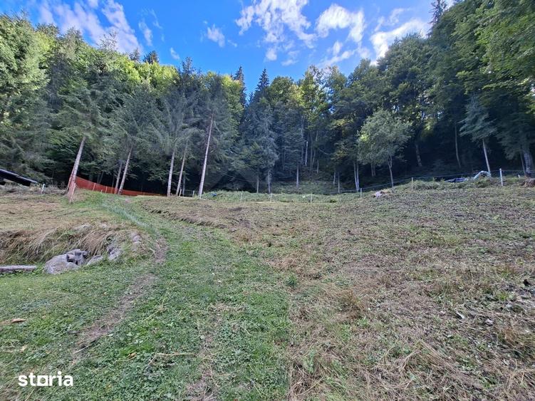 Teren de 6200 mp, în Lunca