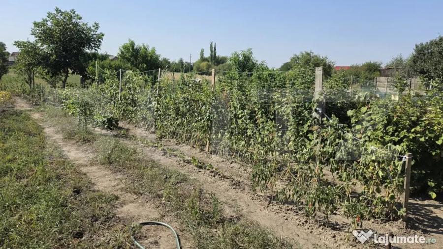 Casă cu 4 camere cu Teren 2658 Mp în Sătmărel