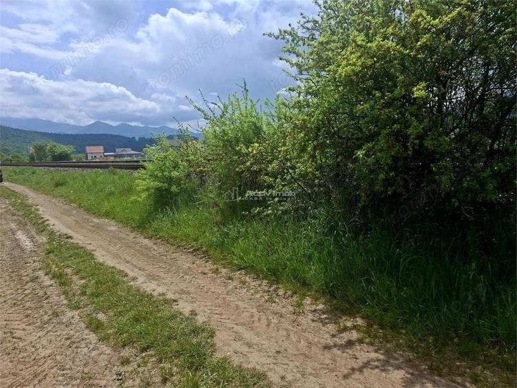 Teren extravilan de vanzare Talmaciu - 1