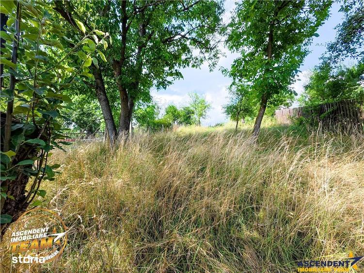 Casă cu 2 camere cu Teren 1732 Mp în Arcuș
