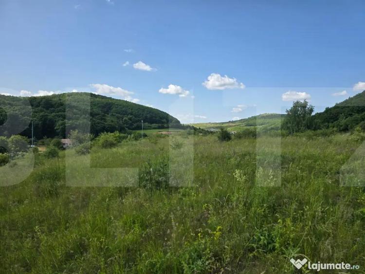 Teren de 5000 mp, în Ciurila