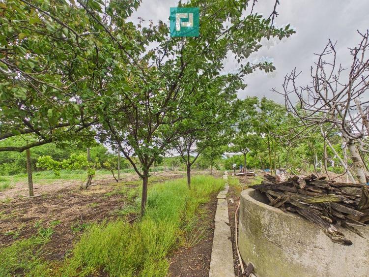Casă individuală cu 3 camere cu Canalizare în Aradul Nou