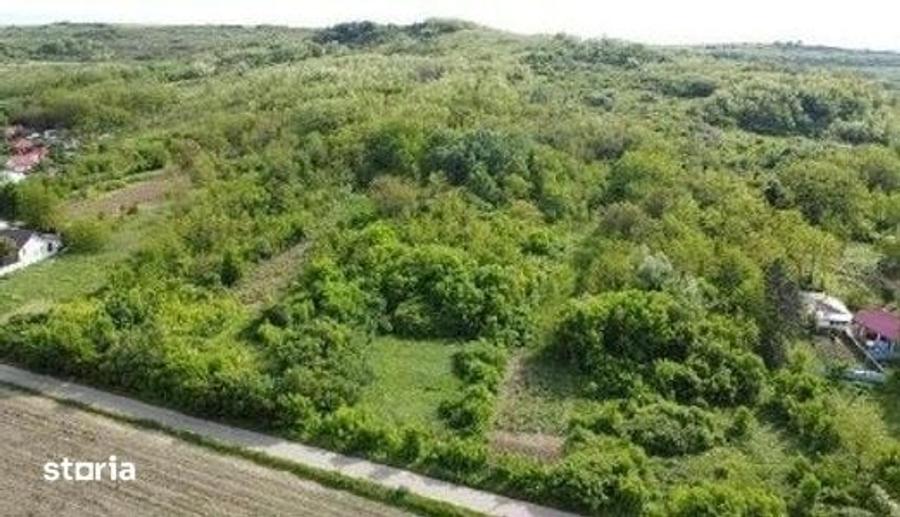 Teren de 4740 mp, în Bălteni