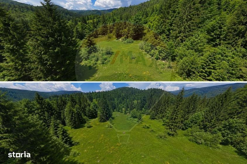 Spațiu comercial, în Arieșeni