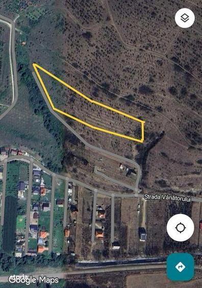 Teren de 6500 mp, în Baciu