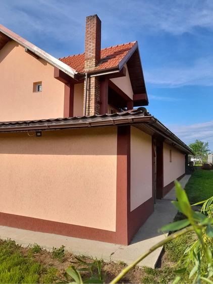 Casă cu 8 camere cu Teren 3000 Mp în Firiteaz