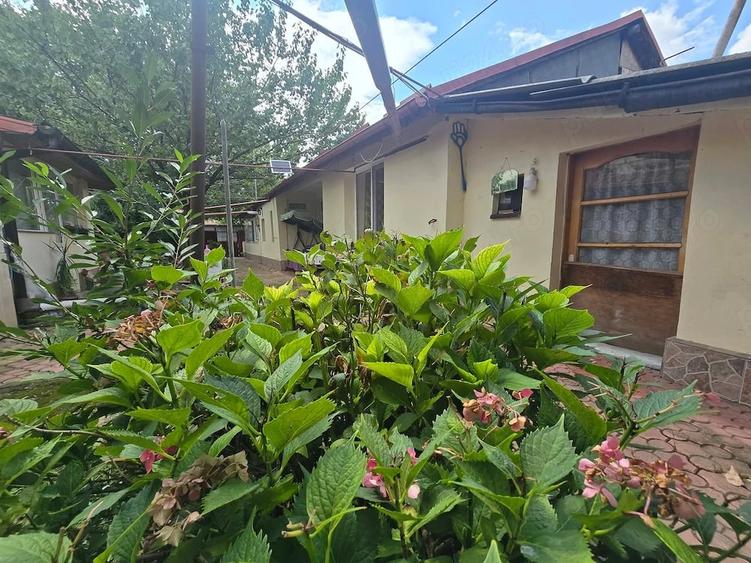 Casă cu 5 camere cu Teren 600 Mp în Andronache