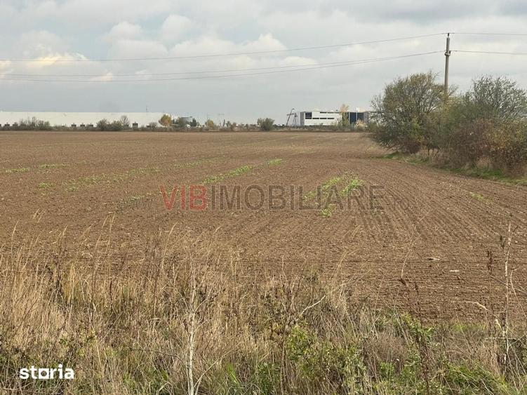 Teren de 22800 mp, în Joița