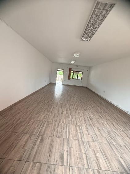 Casă individuală cu 3 camere cu Teren 2500 Mp în Păușești