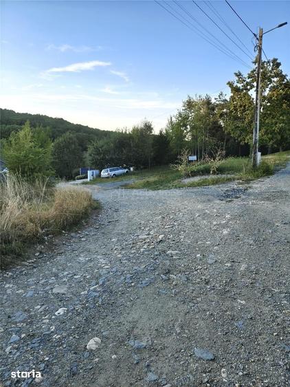 Teren intravilan de vanzare in padure Cisnadioara - 15