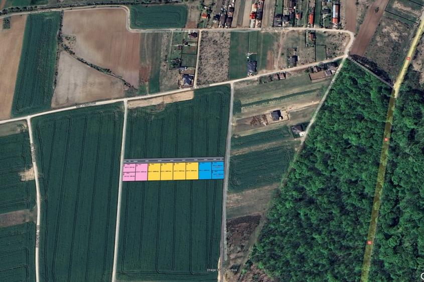 Teren Construcții intravilan de 1000 mp, în Ciolpani