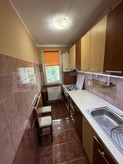 Apartament cu 2 camere semidecomandat, mobilat în Carpați 1
