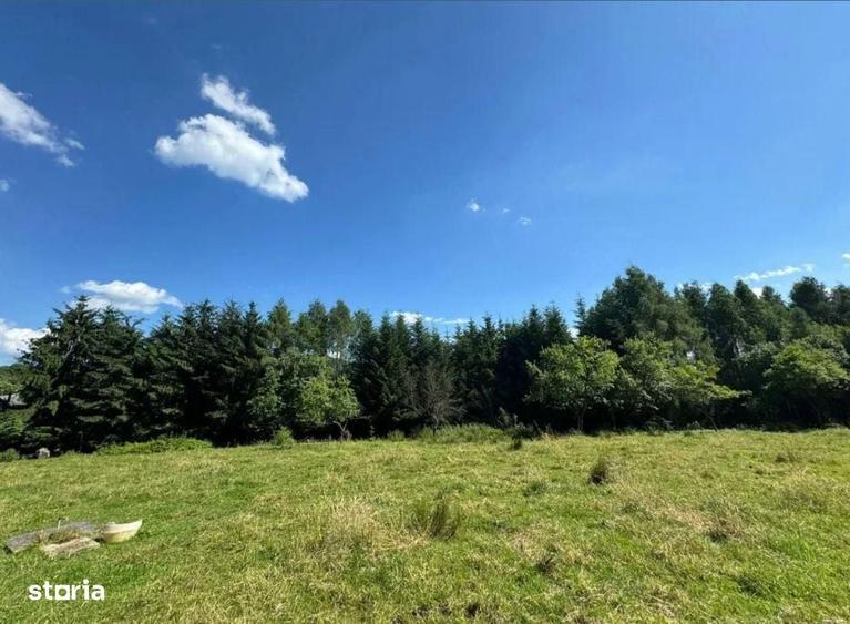 Teren intravilan 5.755 mp | Zona Muzeul Satului Maramuresean, Sighetu - 1