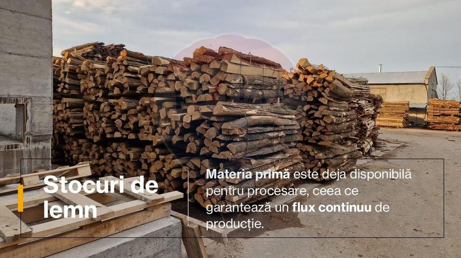 Spațiu industrial, de 7,756 mp, în Cerăt