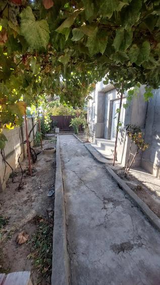 Casă cu Teren 690 Mp în Central