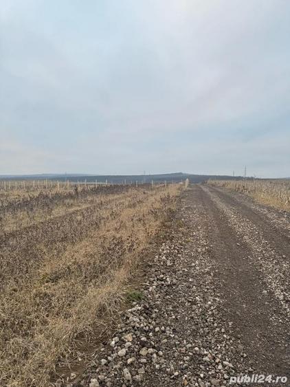 Teren de 12 mp, în Central