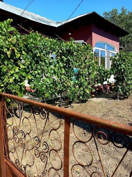 Casa spatioasa comuna Furculesti, judetul Teleorman - 8