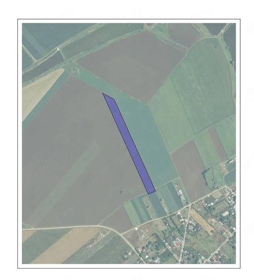 Dascalu, Creata, Ilfov, teren intravilan - 4