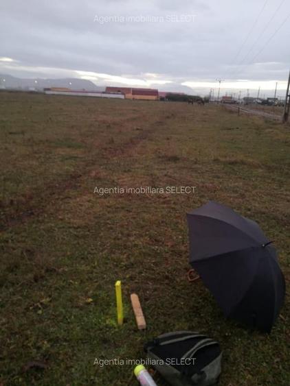 Teren Construcții intravilan de 6300 mp, în Sânpetru