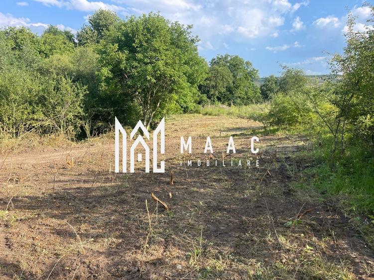 Teren agricol intravilan de 10305 mp, în Bună Ziua