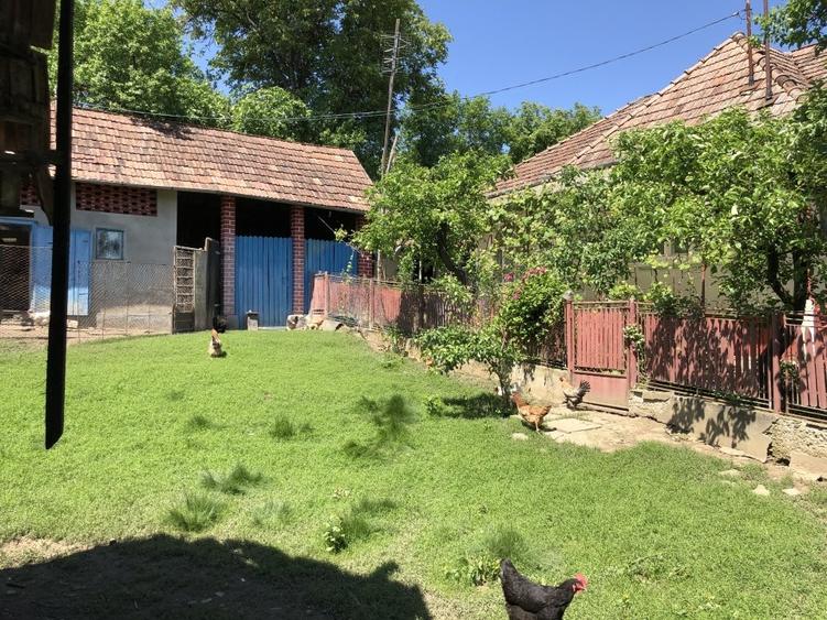 Casă individuală cu 2 camere cu Teren 1350 Mp în Râciu