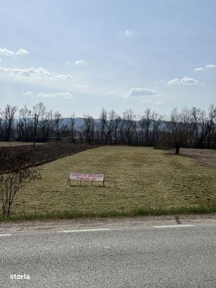 Teren de 6000 mp, în Ileanda