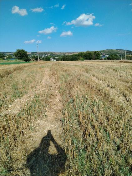 Teren de 2700 mp, în Central