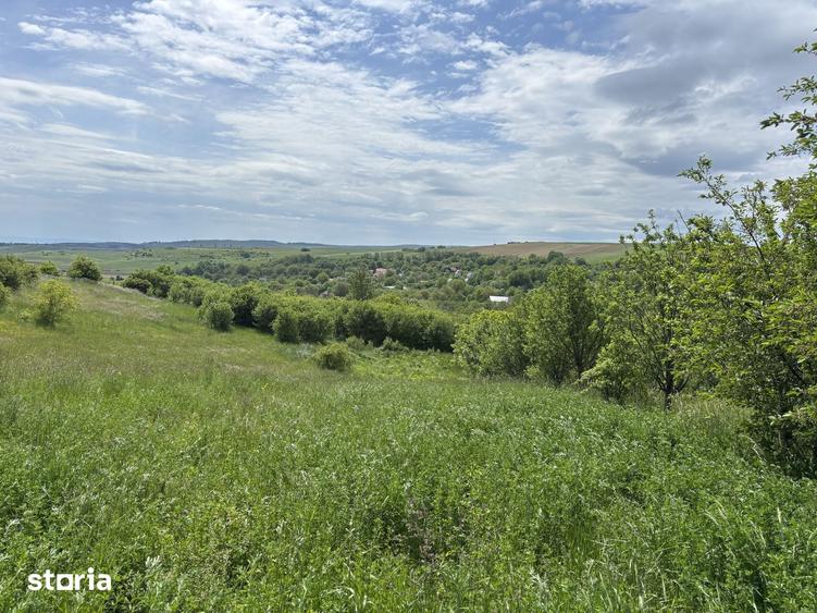 Teren de 4500 mp, în Tureni
