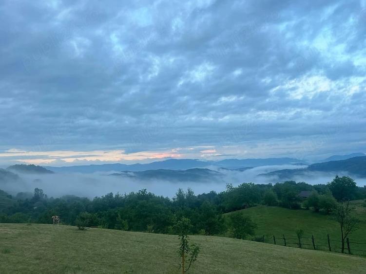 Teren de 4000 mp, în Berchez