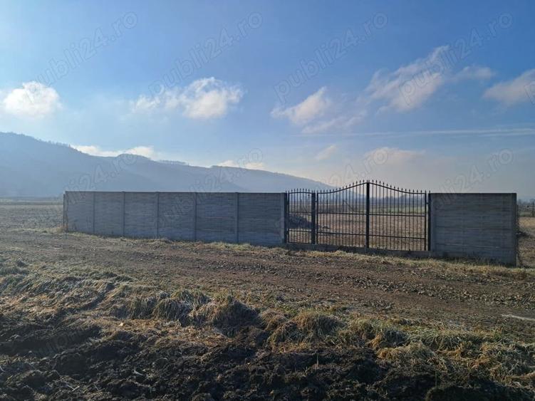 Teren de 8700 mp, în Livada (Iclod)