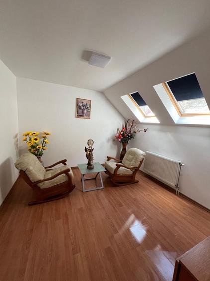 Spatii comerciale si un apartament. - 2