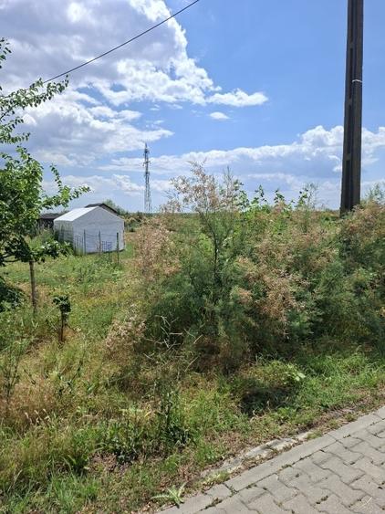 Teren Construcții intravilan de 2000 mp, în Crișan