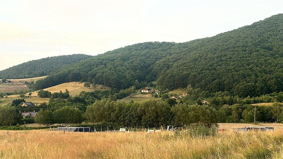 Teren agricol extravilan de 3408 mp, în Gura Râului