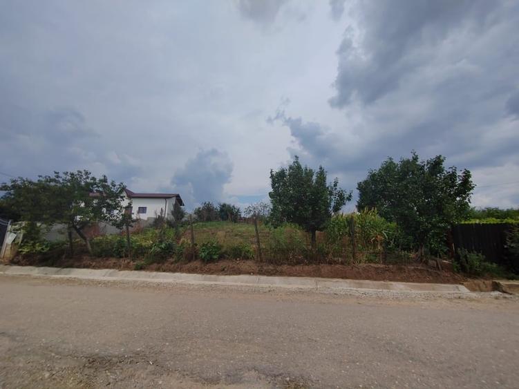 Teren Construcții intravilan de 800 mp, în Valea Călugărească
