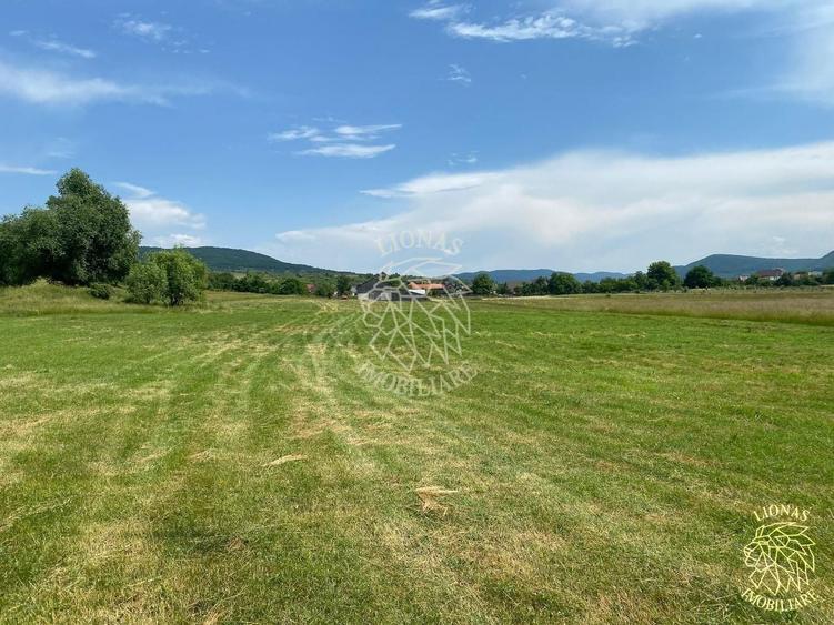 Teren agricol extravilan de 7200 mp, în Șieu-Măgheruș